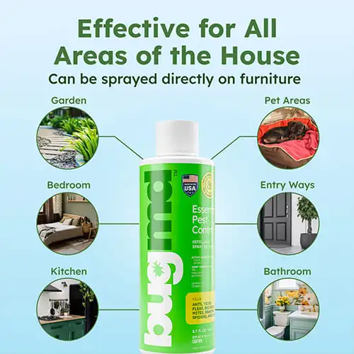 BugMD Essential Concentrate - Image 4