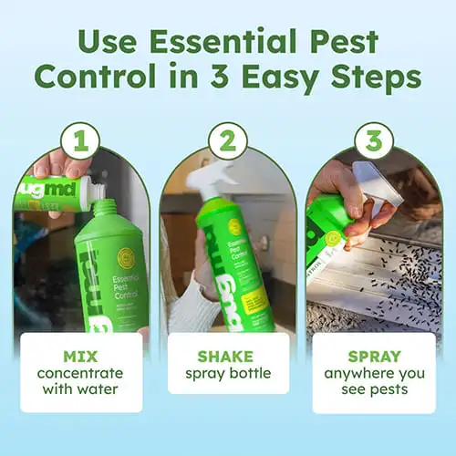 BugMD Essential Concentrate - Image 2