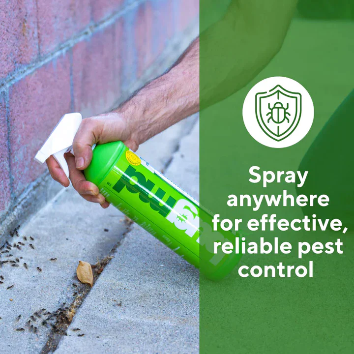 Exclusive Offer of Essential Pest Concentrate - Image 3