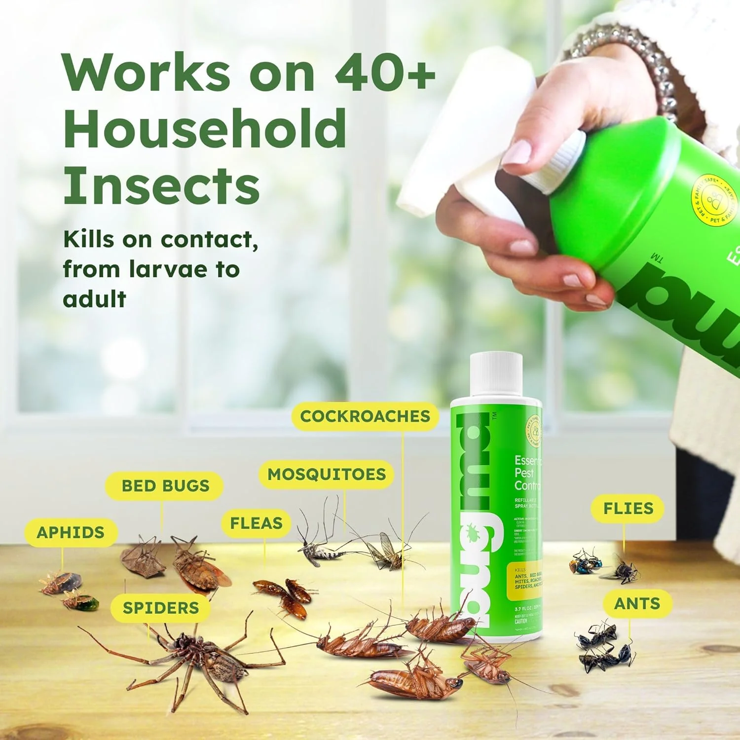 Essential Pest Control - Image 3