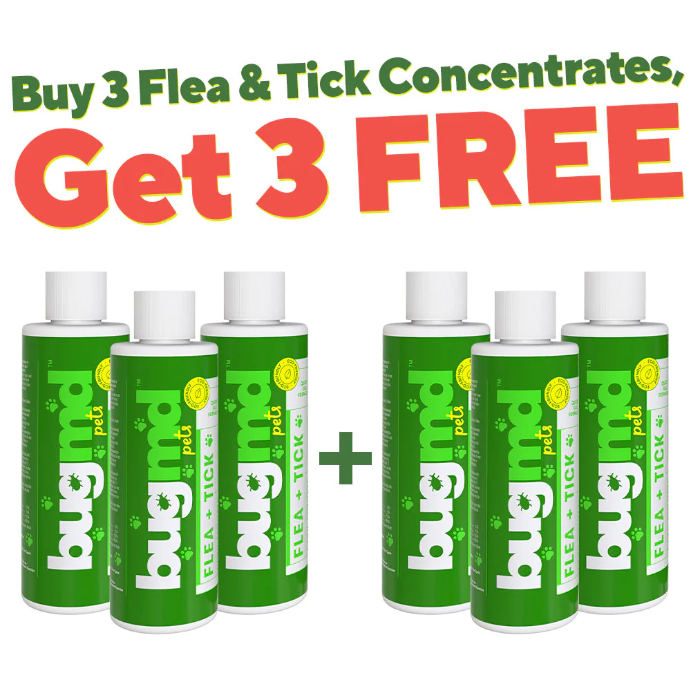 Exclusive Offer of Flea + Tick Concentrate