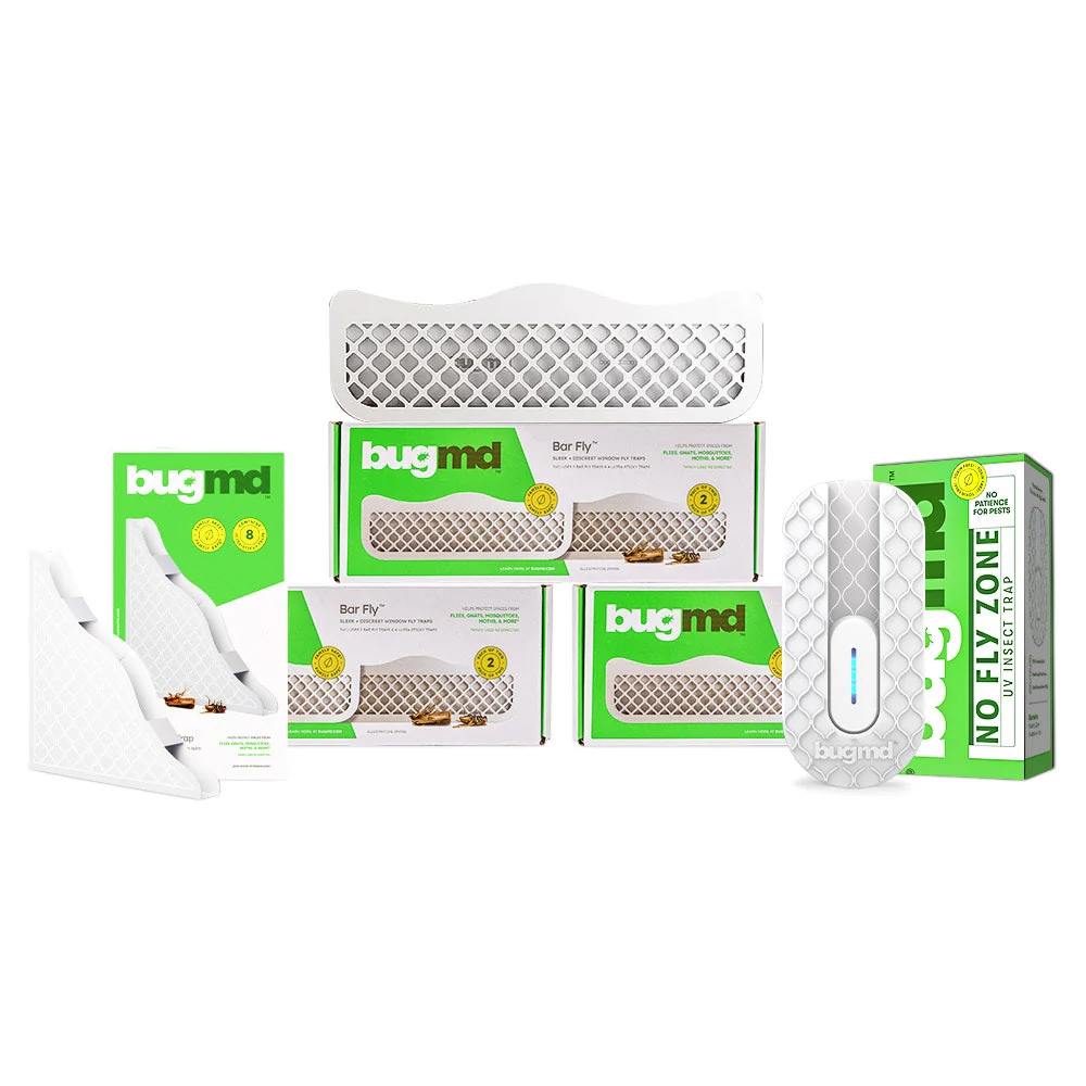 Flies Best Seller Kit