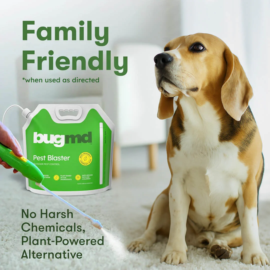 Pest Blaster Kit - Image 5