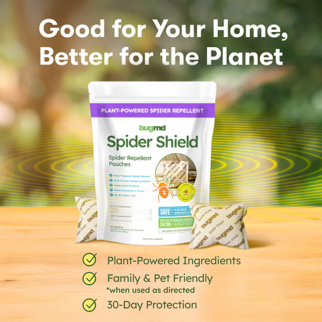 Spider Shield - Image 5