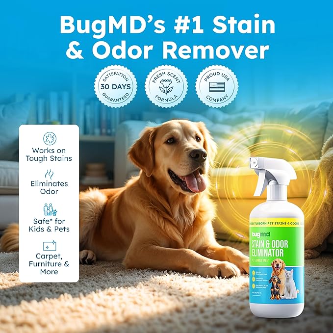 Stain and Odor Eliminator - Image 4