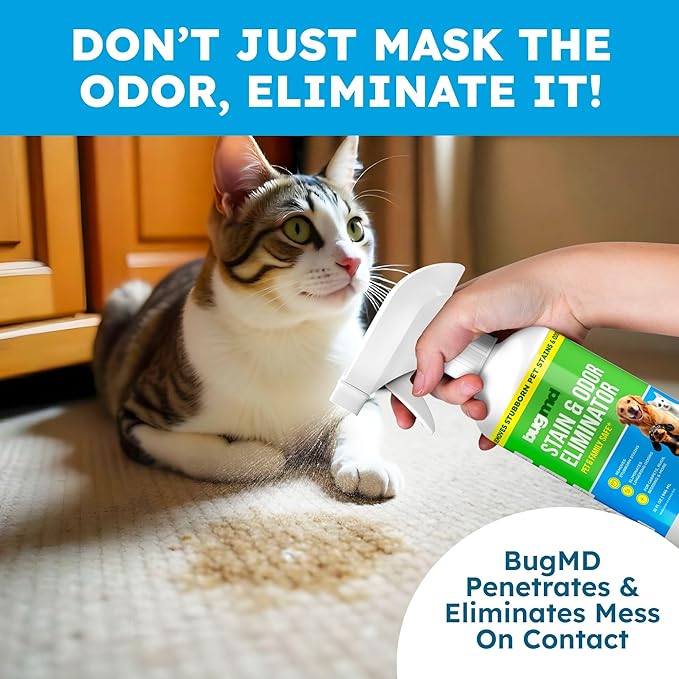 Stain and Odor Eliminator - Image 5